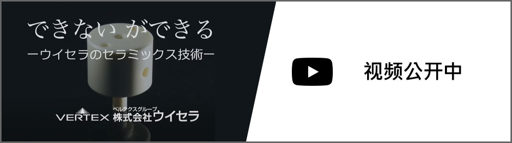 视频公开中
